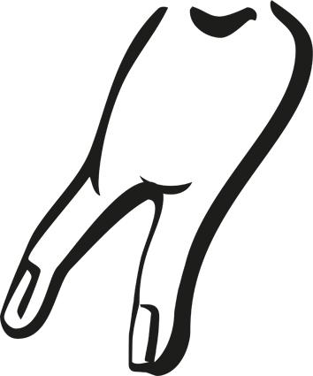 Zahnarztpraxis Dr. J. Finger MSc