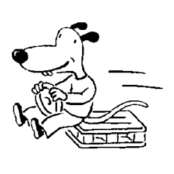 Gemüseverarbeitung Radefeld Inh. Frank Pröhl